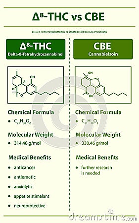 âˆ†8-THC vs CBE, Delta 8 Tetrahydrocannabinol vs Cannabielsoin vertical infographic Vector Illustration